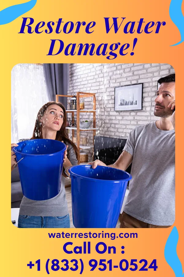 water restoration Priority Emergency Restoration Professionals Millerton
