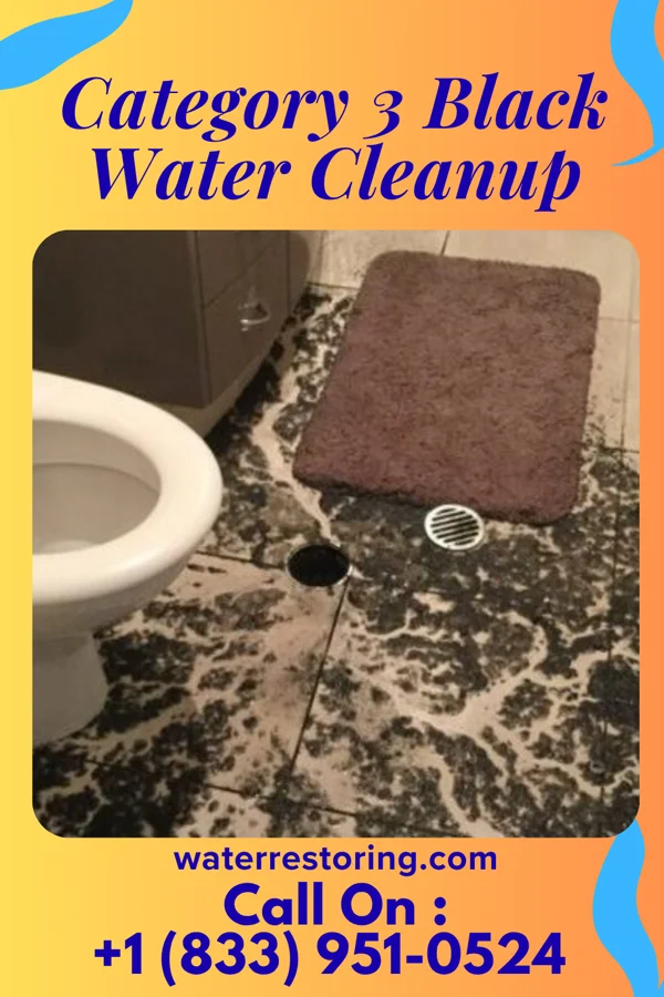 Category 3 Black Water Cleanup in Millerton, NY