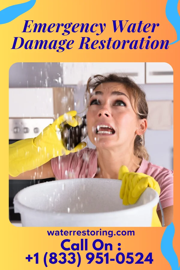 Emergency Water Damage Restoration in Millerton, NY