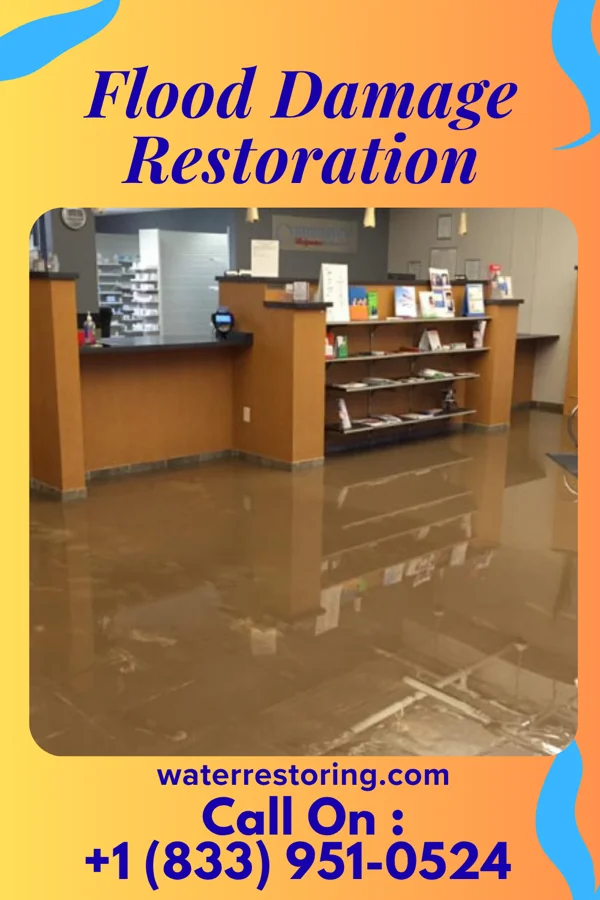 Flood Damage Restoration in Millerton, NY