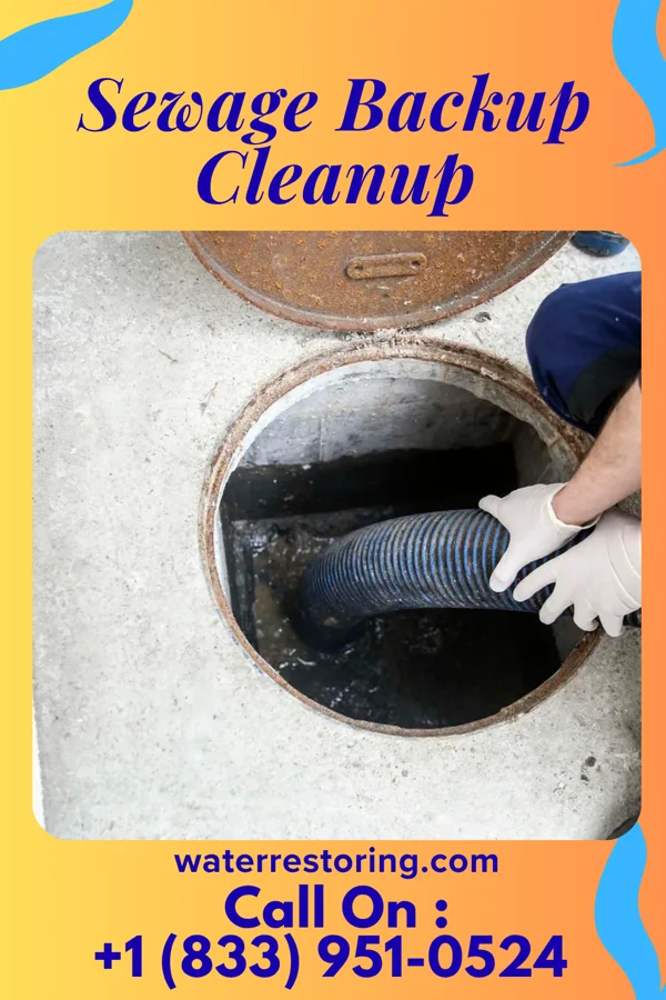 Sewage Backup Cleanup in Millerton, NY