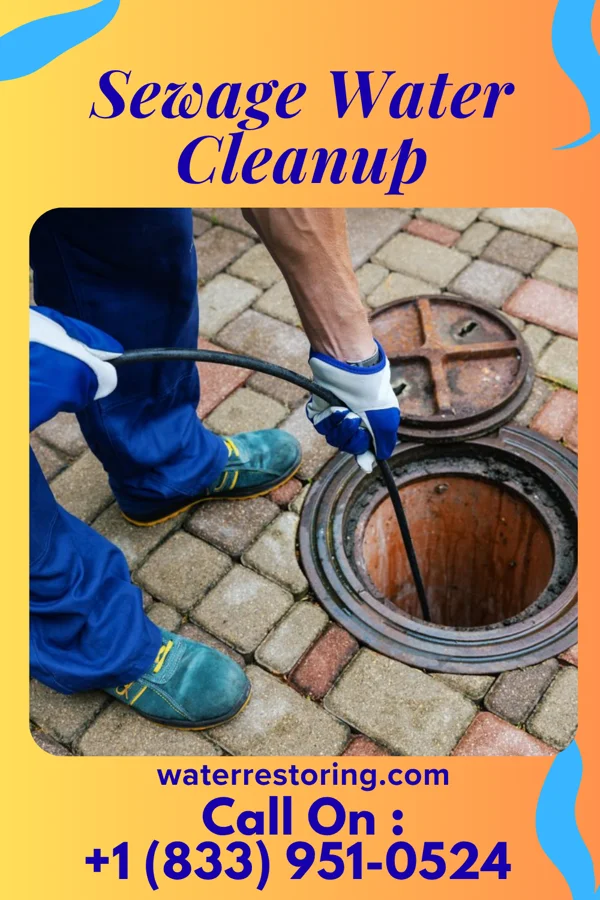 Sewage Water Cleanup in Millerton, NY